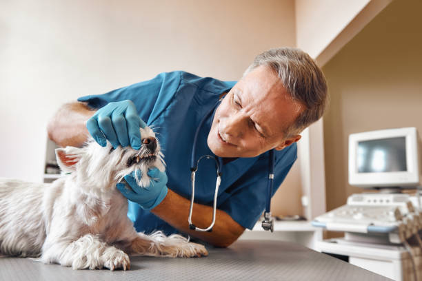 Best Dental Abscess Treatment in Reidsville, NC
